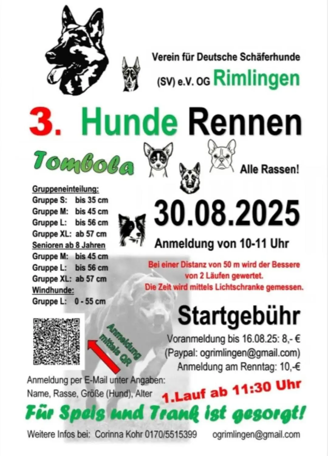 3. Hunde Rennen.