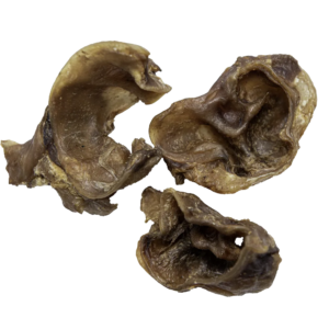 Muscheln 02 webp? i=AA