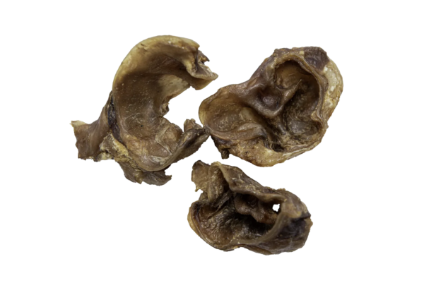 Schweine Ohr Muscheln