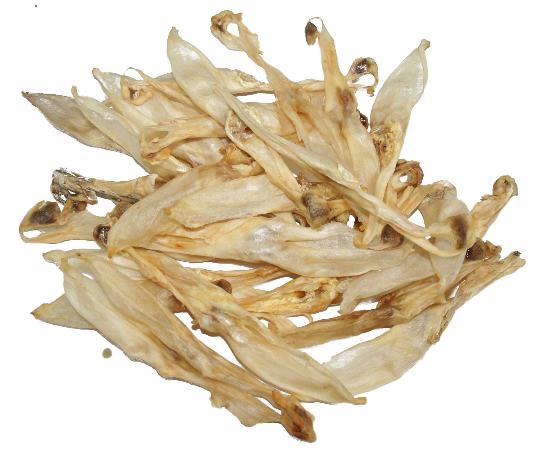 Kaninchen-Ohren-ohne-Fell