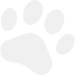 home 3 sub img