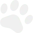 home 3 sub img