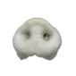 Schweinenase gepufft 01 85x85