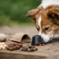 hundesnacks fuer nasenarbeit richtig waehlen featured 85x85