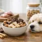 hypoallergene hundesnacks richtig waehlen featured 85x85