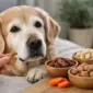 schonende hundesnacks fuer senioren waehlen featured 85x85