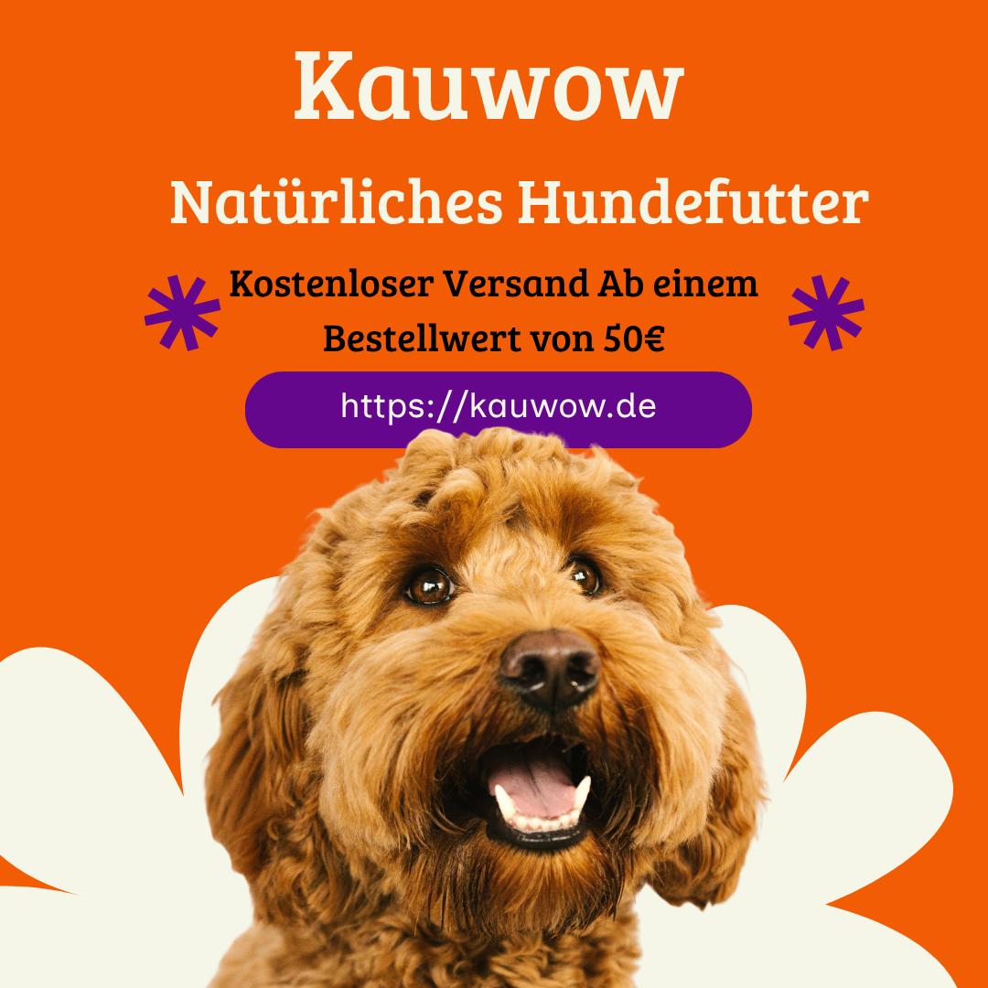 Natürliches Hundefutter