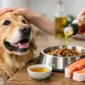erfahrungen mit lachsoel beim hund ehrlich erklaer featured 85x85