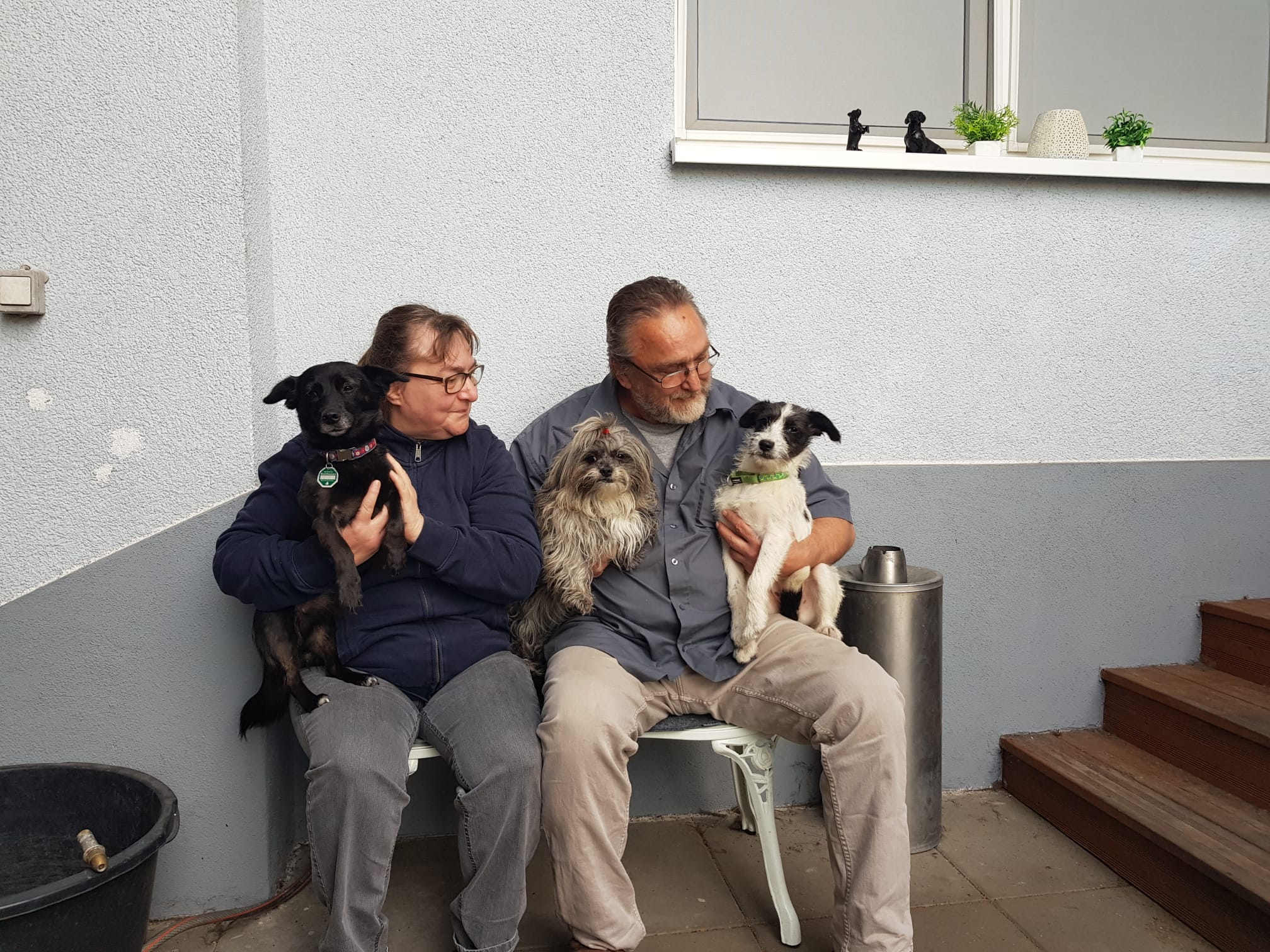 hunde_03.11.25