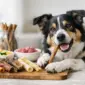 kauartikel bei ausschlussdiaet beim hund featured 85x85