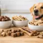 review hypoallergene hunde snacks im check featured 85x85