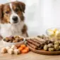welche snacks bei sensiblem magen beim hund featured 85x85
