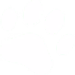 home 3_1 sub img