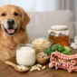 beispiel darmaufbau nach antibiotika beim hund featured 85x85